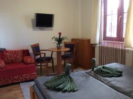 Pension Orbis, homestay in Mariánské Lázně