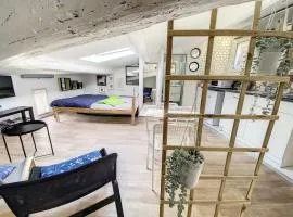 St Louis Studio mansardé atypique climatisé