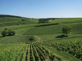 Au pied des Vignes, sewaan penginapan di Sancerre