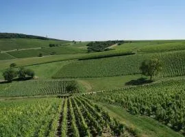 Au pied des Vignes