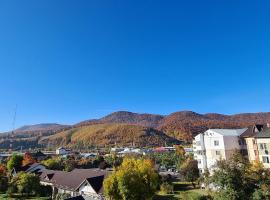 Casa Suzana, casă de vacanță din Piatra Neamţ