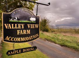 Valley View Farm Holiday Cottages, tradicionalna kućica u gradu 'Helmsley'