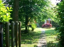 B&B L'Albero Maestro