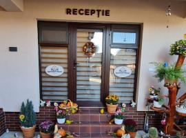 Splendid House, homestay in Făgăraş