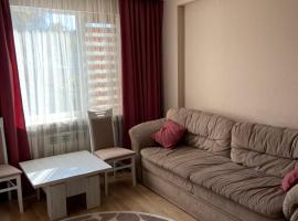 Квартира студия, apartment in Izmail