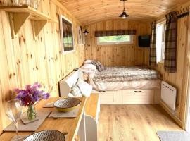 Woodhead Shepherds Hut - Sleeps 2 - Mailer Farm, hotel i Perth