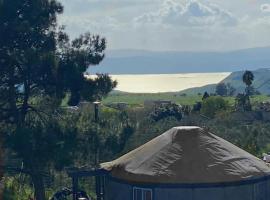 Yurt, campground in Natur