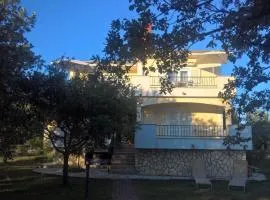 Apartments Damir