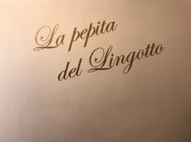 La pepita del Ling8