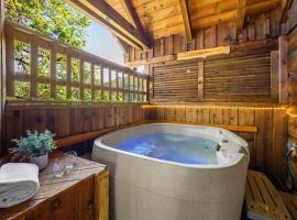 Do Not Disturb - Pigeon Forge Smoky Mountain Studio Cabin, Hot Tub, Fireplace – hotel w mieście Pigeon Forge