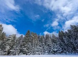 Baumzelt im Winter
