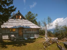 Chalet Orlica Velika Planina: Stahovica şehrinde bir kulübe
