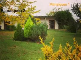 Pilmaiquen