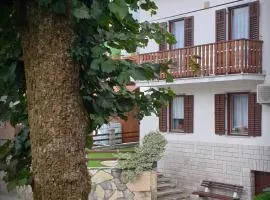 Apartment pri Damijanu