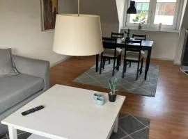 Centrum lejlighed