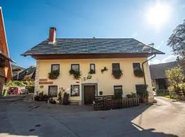 Hostel, Rooms and Apartment Ceklin