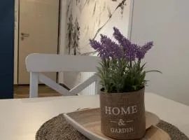 Studio apartman OLAF