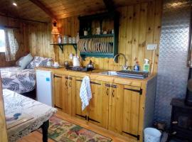Lower Haven Shepherds Hut, glamping site in Bath