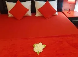 Apartmani Vesna Luxury ap 5 & 6 Paralia