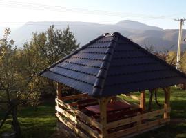 Seoska kuća Rakić - Tara, chalet de montaña en Rastište