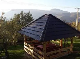 Seoska kuća Rakić - Tara