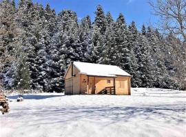 Wood Cabin by the River - for Nature Lovers, cabin in Vytina