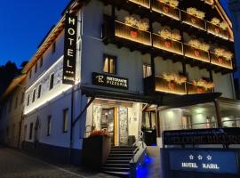 Hotel Raibl e Appartamenti, hotel em Tarvisio