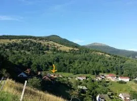 MAISON LUPINS 6 personnes