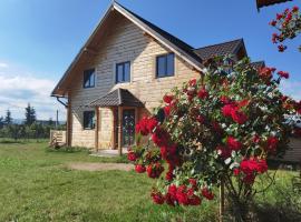 Cabanele FloriCrin - Cabana Mare，位于马里瑟尔的滑雪度假村