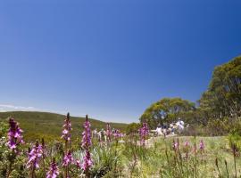 Snow Gum Apartment 2, Hotel in Baw Baw Village