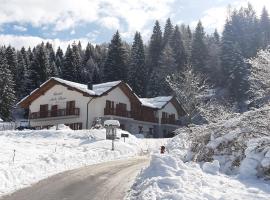 Albergo Chalet Abete Rosso: Castello Tesino'da bir golf oteli