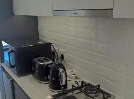 Luxury Woodstock Studio Apartments