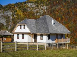 Pensiunea Hodăița, guest house in Măgura