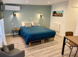 Moulin 1- Appartement Arènes Romaines - Beziers centre - Wifi - Tv connectée