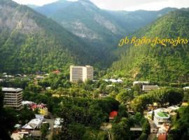 Guest House Besarioni, hostal o pensión en Borjomi