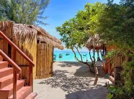 Sea To Moon Lipe
