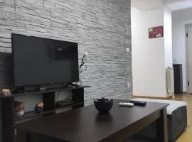 Nala Apartment near Skopje city centre