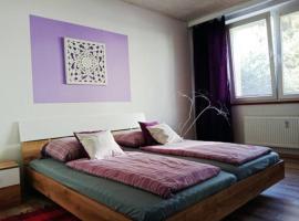 Ubytování Velké Losiny - U PAPÍRNY, hotel in Velké Losiny