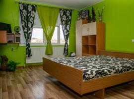 Vilhelmov’s apartament, accommodation in Lukovit