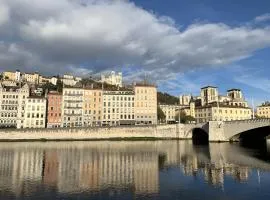 Nest in heart of Lyon