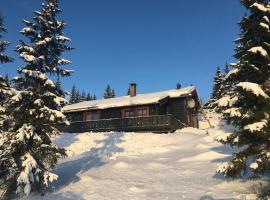 Centrally located cottage at Sjusjøen ski center, hotel cu parcare din Ringsaker