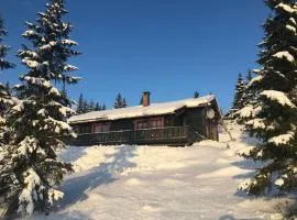 Centrally located cottage at Sjusjøen ski center
