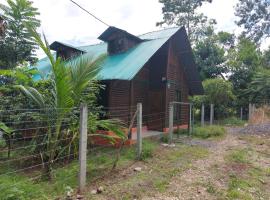 Cabaña para vacacionar río Sarapiqui, cottage in Sarapiquí