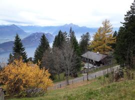 Rigirolle, hotelli kohteessa Rigi Kaltbad