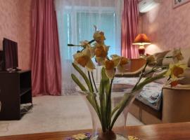 2комн апартаменты на ул.софиевской, beach rental in Kremenchuk