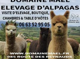 ALPAGAS DU DOMAINE MAEL, budgethotell i Saint-Antoine