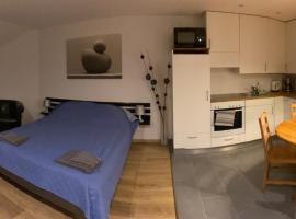 Gemütliche Ferienwohnung EVIELINE in Todtmoos, отель в городе Тодтмос