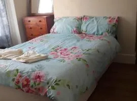 New Find Guest House M22