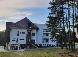 Apartmani Vukmanović