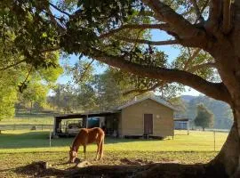 Stay at the Barn... Immerse yourself in nature.